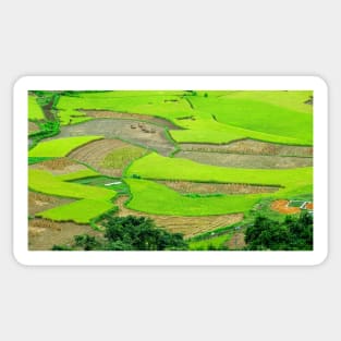 Vue sur les rizières dans le Nord Vietnam Sticker
